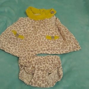 3M Matching cheetah set